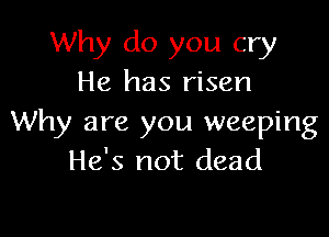 Why do you cry
He has risen

Why are you weeping
He's not dead