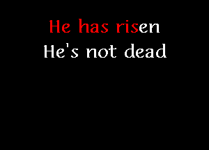 He has risen
He's not dead