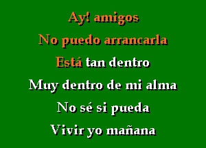 Ay! amigos
No puedo arrancarla

Estzi tan dentro

hilly dentro de mi alma

N0 M3 si pueda

Vivir yo mariana