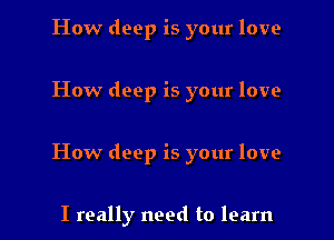 How deep is your love

How deep is your love

How deep is your love

I really need to learn