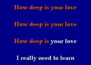 How deep is your love

How deep is your love

How deep is your love

I really need to learn