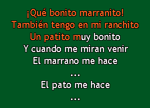 iQw bonito marranito!
Tambwn tengo en mi ranchito
Un patito muy bonito
Y cuando me miran venir
El marrano me hace

El pato me hace