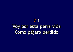 21

Voy por esta perra Vida
Como pzijaro perdido