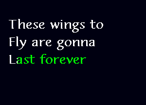 These wings to
Fly are gonna

Last forever