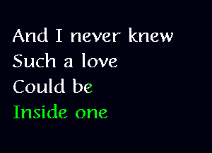 And I never knew
Such a love

Could be
Inside one