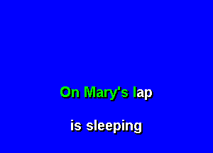 On Mary's lap

is sleeping