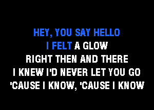 HEY, YOU SAY HELLO
I FELT A GLOW
RIGHT THEII MID THERE
I KNEW I'D NEVER LET YOU GO
'CAU SE I K 0W, 'CAU SE I K 0W