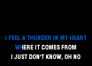 I FEEL A THUNDER IN MY HEART
WHERE IT COMES FROM
I JUST DON'T KNOW, OH HO