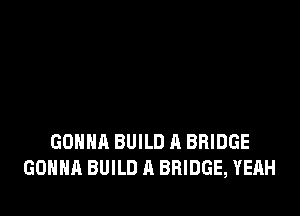 GONNA BUILD R BRIDGE
GONNA BUILD A BRIDGE, YEAH