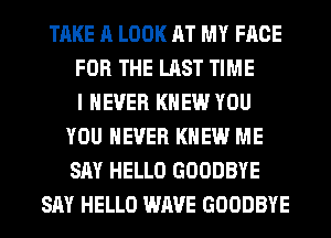 TAKE A LOOK AT MY FACE
FOR THE LAST TIME
I NEVER KNEW YOU
YOU EVER KNEW ME
SAY HELLO GOODBYE
SAY HELLO WAVE GOODBYE