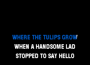 WHERE THE TULIPS GROW
WHEN A HANDSOME LAD
STOPPED TO SAY HELLO