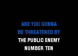 ARE YOU GONNA

BE THREATENED BY
THE PUBLIC ENEMY
NUMBER TEH