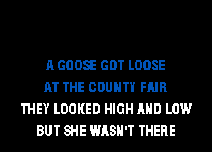 A GOOSE GOT LOOSE
AT THE COUNTY FAIR
THEY LOOKED HIGH AND LOW
BUT SHE WASH'T THERE