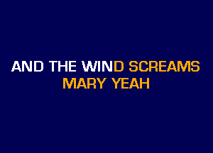 AND THE WIND SCREAMS

MARY YEAH