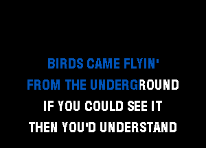BIRDS CRME FLYIN'
FROM THE UNDERGROUND
IF YOU COULD SEE IT
THEN YOU'D UNDERSTAND