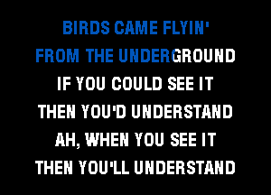 BIRDS CAME FLYIN'
FROM THE UNDERGROUND
IF YOU COULD SEE IT
THEN YOU'D UNDERSTAND
AH, WHEN YOU SEE IT
THEN YOU'LL UNDERSTAND