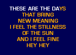 THESE ARE THE DAYS
THAT BRING
NEW MEANING
I FEEL THE STILLNESS
OF THE SUN
AND I FEEL FINE
HEY HEY