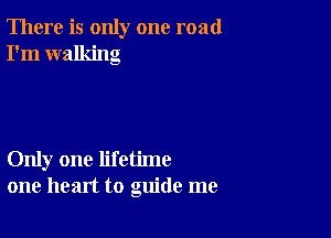 There is only one road
I'm walking

Only one lifetime
one heart to guide me