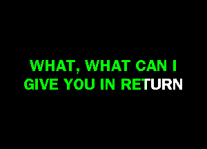 WHAT, WHAT CAN I

GIVE YOU IN RETURN