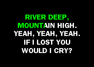 RIVER DEEP,
MOUNTAIN HIGH.
YEAH, YEAH, YEAH.
IF I LOST YOU
WOULD I CRY?