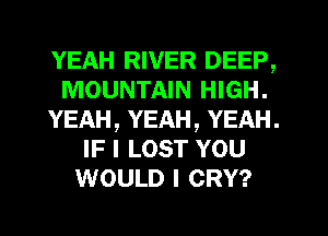 YEAH RIVER DEEP,
MOUNTAIN HIGH.
YEAH, YEAH, YEAH.
IF I LOST YOU
WOULD I CRY?