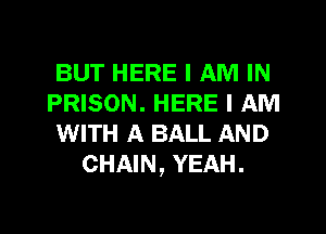 BUT HERE I AM IN
PRISON. HERE I AM
WITH A BALL AND
CHAIN, YEAH.