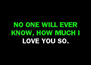 NO ONE WILL EVER

KNOW, HOW MUCH I
LOVE YOU SO.