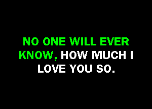 NO ONE WILL EVER

KNOW, HOW MUCH I
LOVE YOU SO.