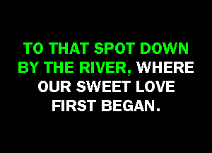 T0 THAT SPOT DOWN
BY THE RIVER, WHERE
OUR SWEET LOVE
FIRST BEGAN.