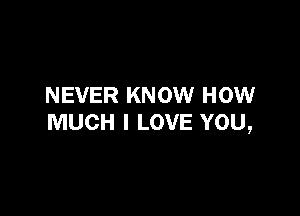 NEVER KNOW HOW

MUCH I LOVE YOU,