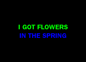 I GOT FLOWERS

IN THE SPRING