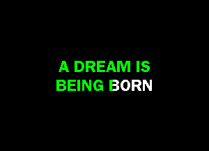 A DREAM IS

BEING BORN