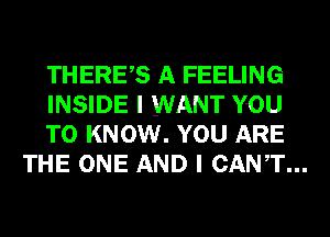 THERES A FEELING

INSIDE I WANT YOU

TO KNOW. YOU ARE
THE ONE AND I CANT...