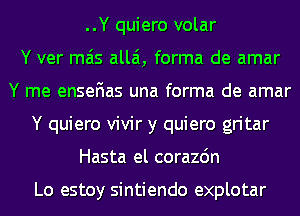 ..Y quiero volar
Y ver mas allai, forma de amar
Y me enseFIas una forma de amar
Y quiero vivir y quiero gritar
Hasta el corazdn

Lo estoy sintiendo explotar