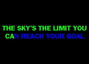 THE SKWS THE LIMIT YOU

CAN REACH YOUR GOAL