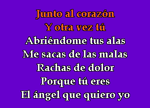 Junto a1 corazfm
Y otra vez tl't
Abrieindome tus alas
IVIe sacas de las malas
Rachas de dolor
Porque hi eres
E1 angel que quiero yo