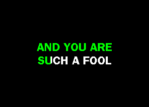 AND YOU ARE

SUCH A FOOL