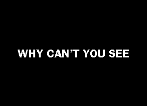 WHY CANT YOU SEE