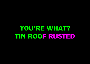 YOURE WHAT?

TIN ROOF RUSTED