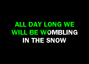 ALL DAY LONG WE

WILL BE WOMBLING
IN THE SNOW