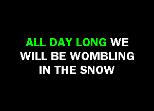ALL DAY LONG WE

WILL BE WOMBLING
IN THE SNOW