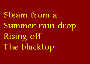 Steam from a
Summer rain drop

Rising off
The blacktop