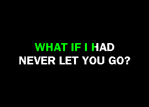WHAT IF I HAD

NEVER LET YOU GO?
