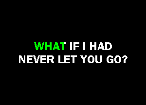 WHAT IF I HAD

NEVER LET YOU GO?