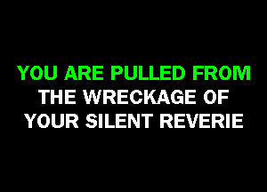 YOU ARE PULLED FROM
THE WRECKAGE OF
YOUR SILENT REVERIE