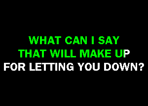 WHAT CAN I SAY
THAT WILL MAKE UP
FOR LE'ITING YOU DOWN?