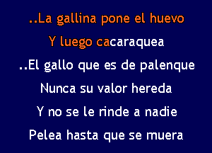 ..La gallina pone el huevo
Y luego cacaraquea

..El gallo que es de palenque

Nunca su valor hereda

Y no se le rinde a nadie

Pelea hasta que se muera