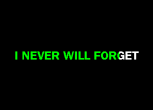 I NEVER WILL FORGET