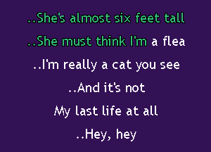 ..She's almost six feet tall

..She must think I'm a flea

..l'm really a cat you see

..And it's not
My last life at all
..Hey, hey