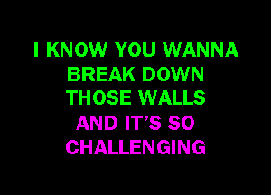 I KNOW YOU WANNA
BREAK DOWN

THOSE WALLS

AND HS 80
CHALLENGING